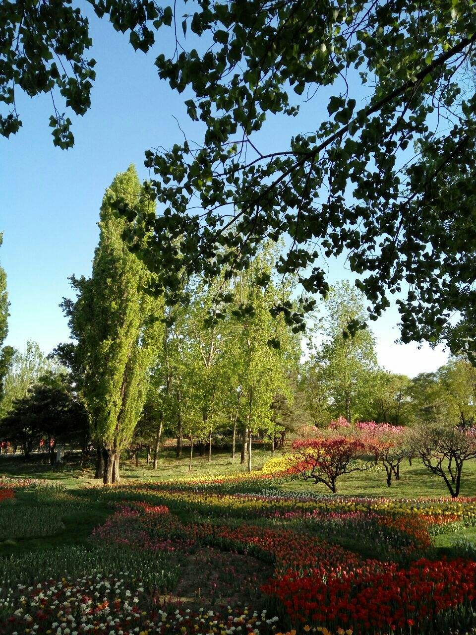 北京植物园旅游攻略_北京植物园旅游攻略大众点评