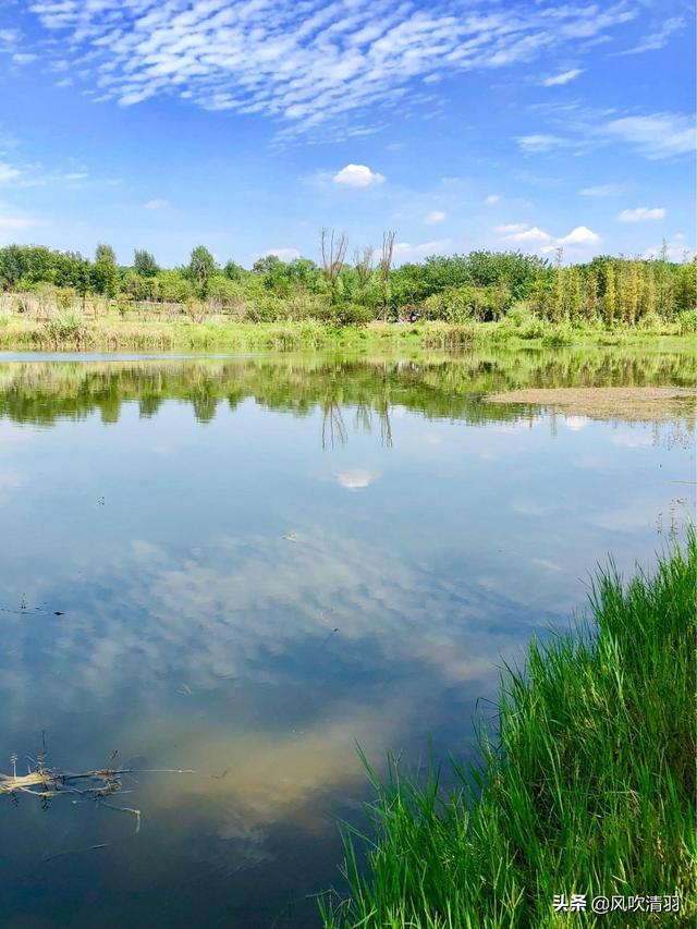 十陵青龙湖湿地公园