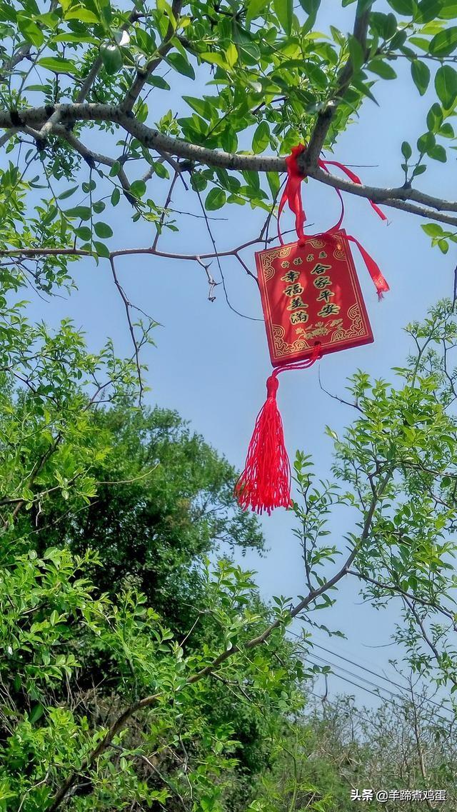 北京香山公园一日游