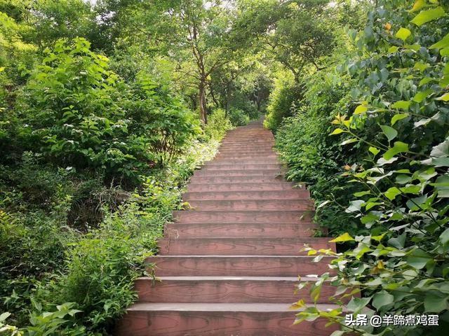 北京香山公园一日游