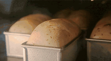 新语面包