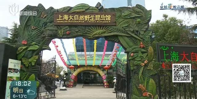 上海大自然野生昆虫馆