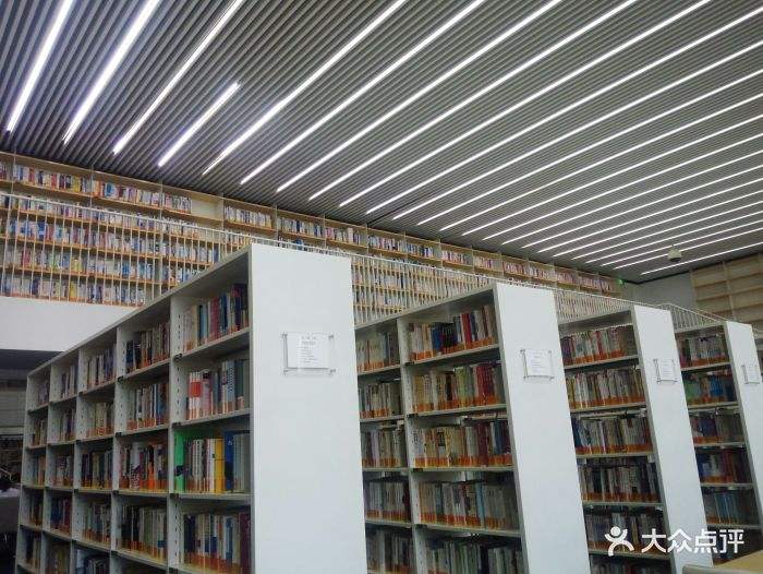 天津图书馆官网(天津滨海图书馆官网)