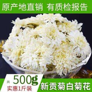 白菊花价格,白菊花价格多少钱一斤