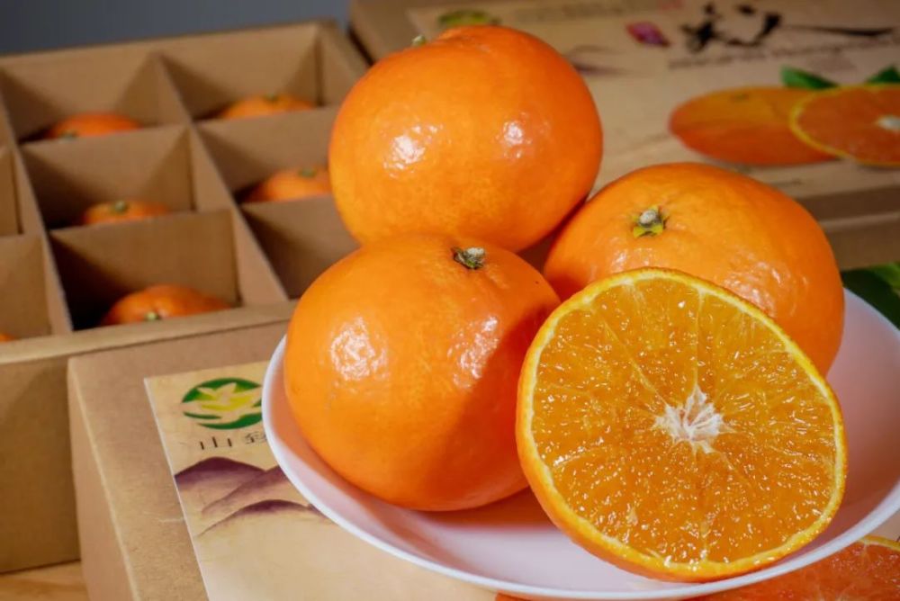红美人柑橘-红美人柑橘病虫害防治