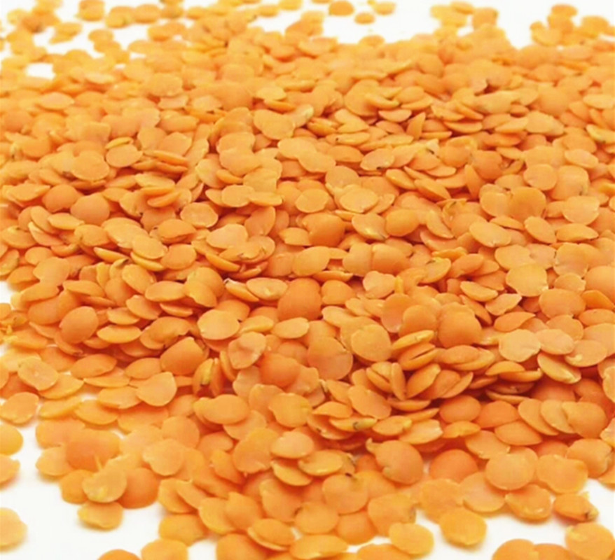 土耳其红扁豆的功效与作用(红扁豆米的功效与作用及食用方法)